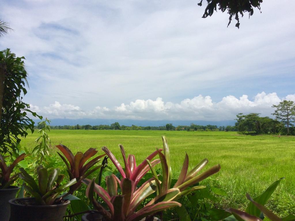 Oui Kaew Home Stay Phayao Exterior foto